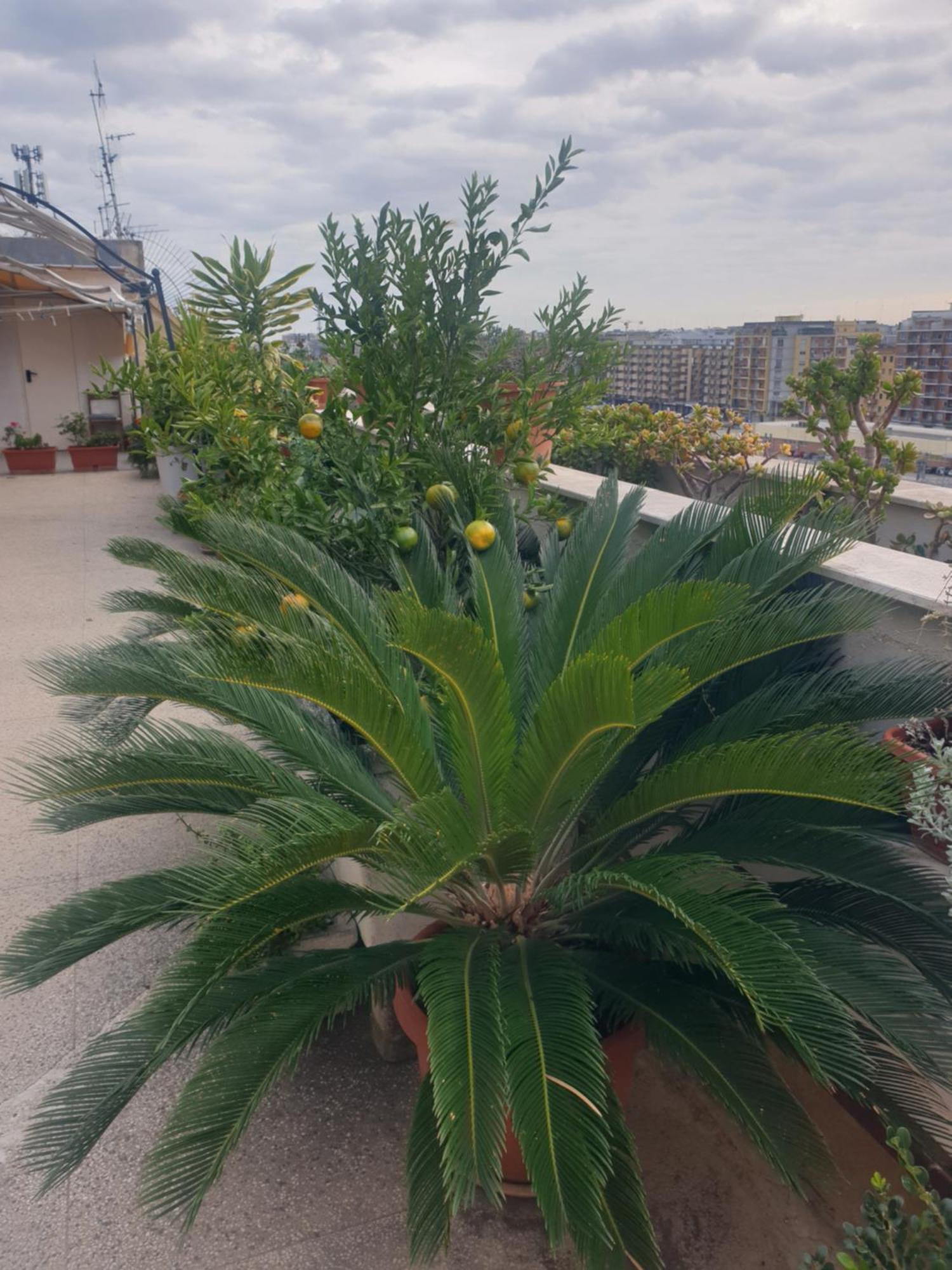 B&B Ganaj La Terrazza Di Ganaj Барі Екстер'єр фото